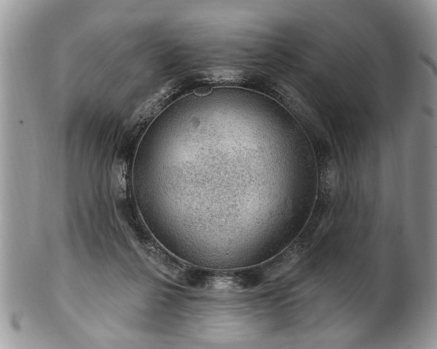 X0000101970264200807251217