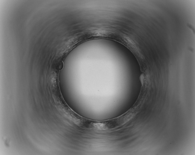 X0000101970265200807251217