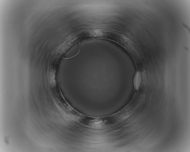 X0000101970267200807251217