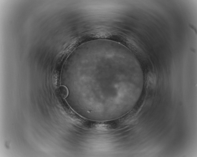 X0000101970268200807251217