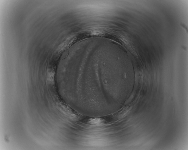 X0000101970269200807251217