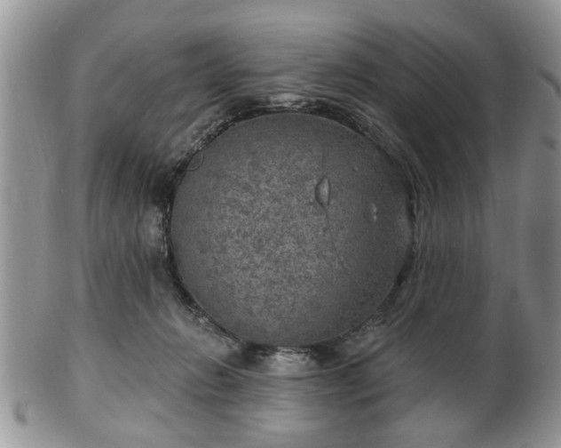 X0000101970270200807251217