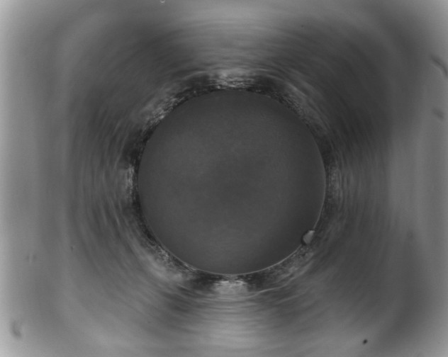 X0000101970271200807251217