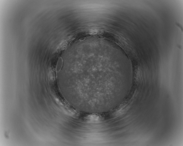 X0000101970272200807251217