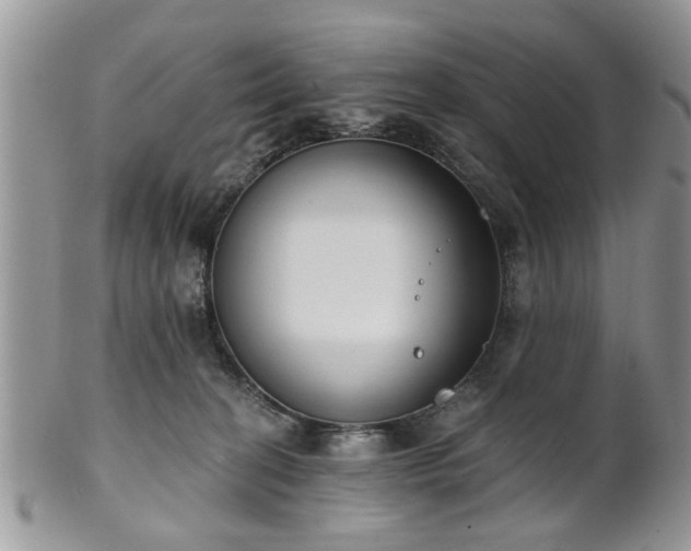X0000101970274200807251217