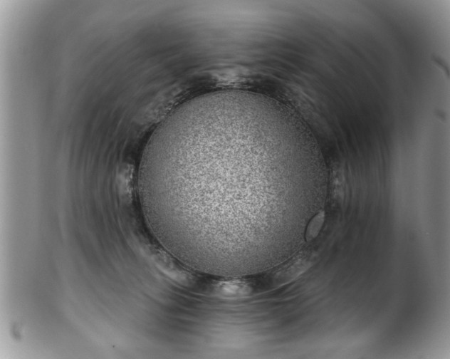 X0000101970275200807251218