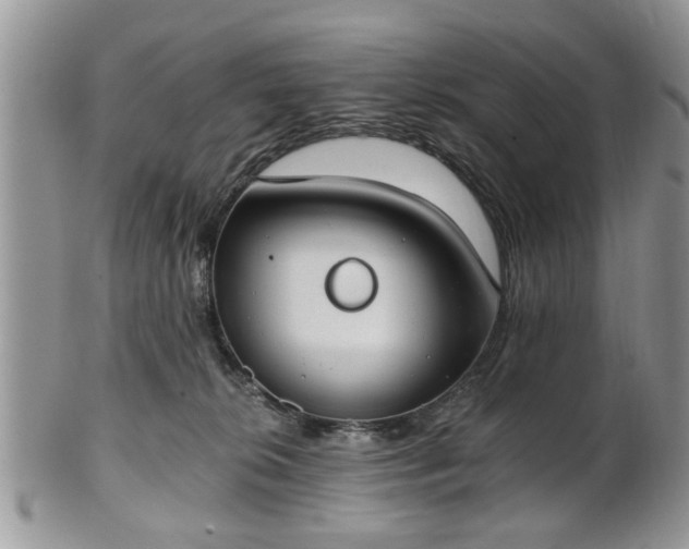 X0000101970276200807251218