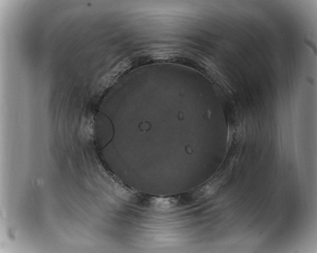 X0000101970277200807251218