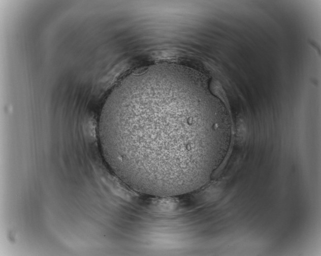 X0000101970282200807251218