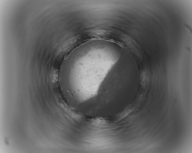 X0000101970284200807251218