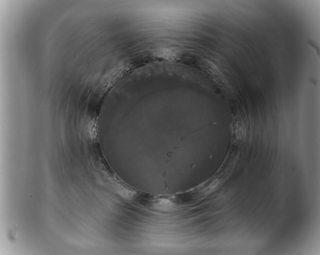 X0000101970285200807251218