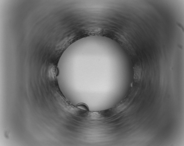 X0000101970287200807251218