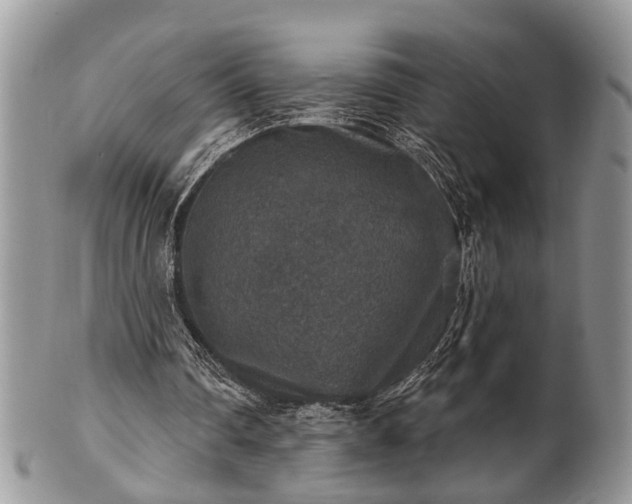 X0000101970290200807251217