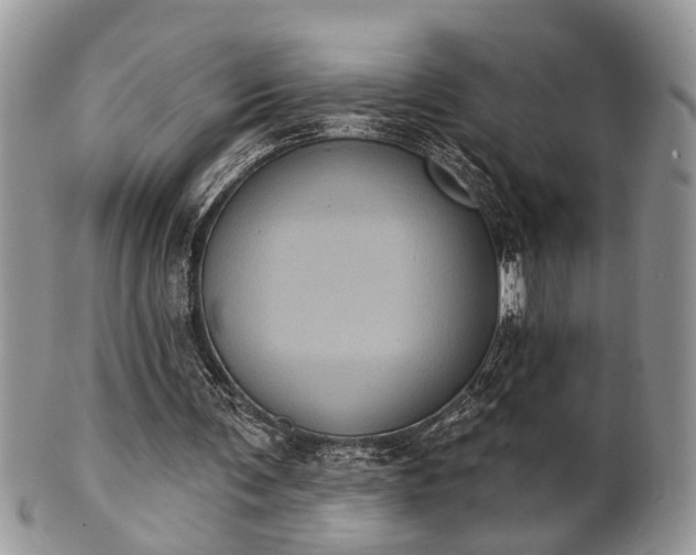 X0000101970291200807251217