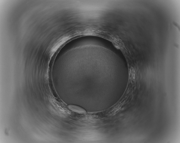 X0000101970292200807251217