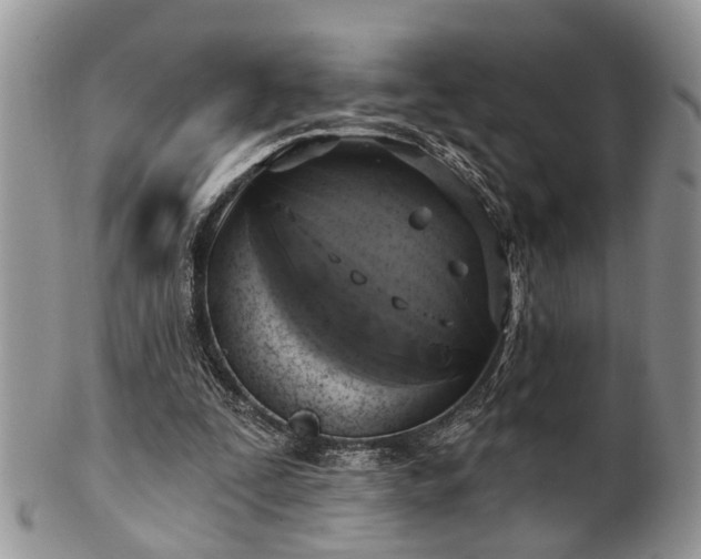 X0000101970295200807251217
