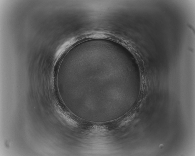 X0000101970296200807251217