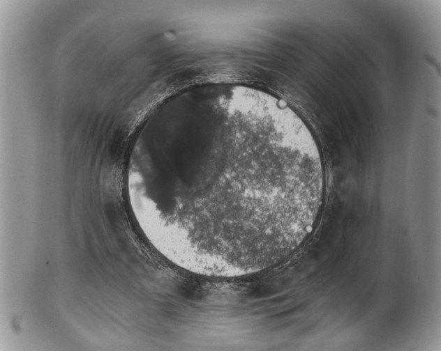X0000101970297200807251217