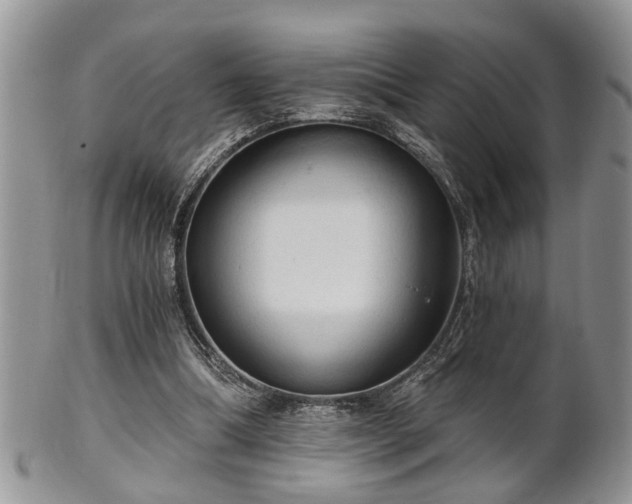 X0000101970298200807251217