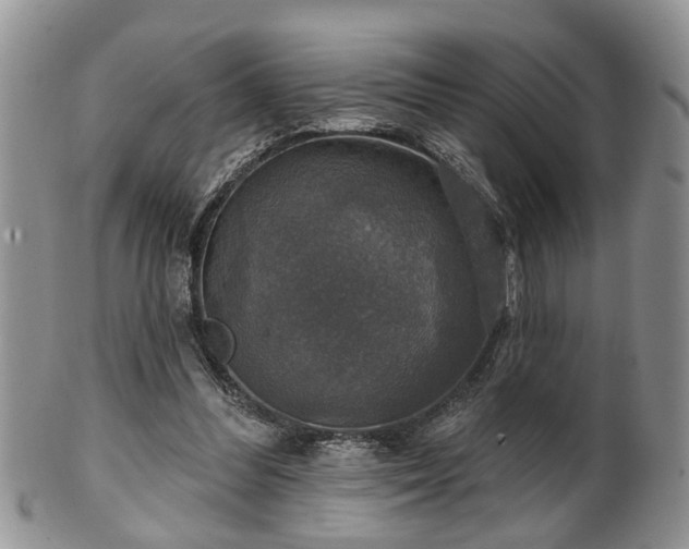 X0000101970300200807251217