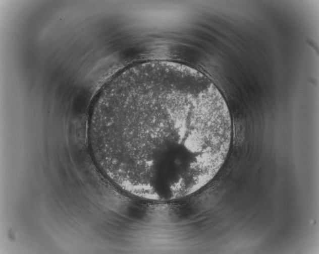 X0000101970301200807251217