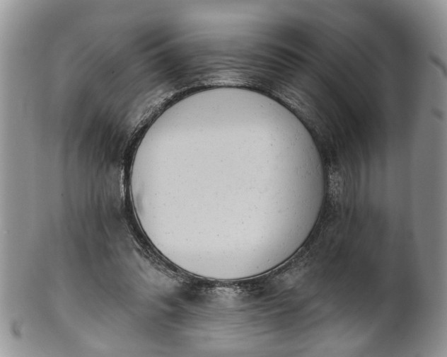 X0000101970302200807251217