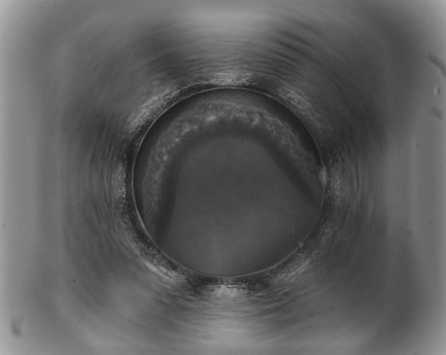 X0000101970303200807251217