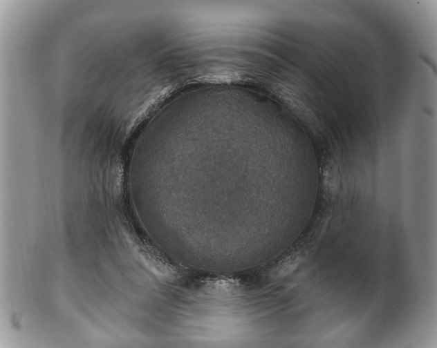 X0000101970304200807251217