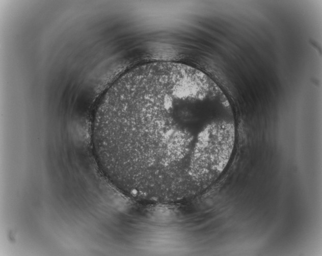 X0000101970305200807251217