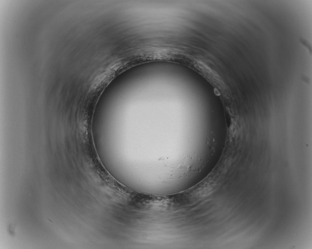 X0000101970306200807251217