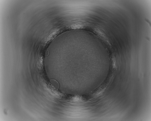 X0000101970308200807251217