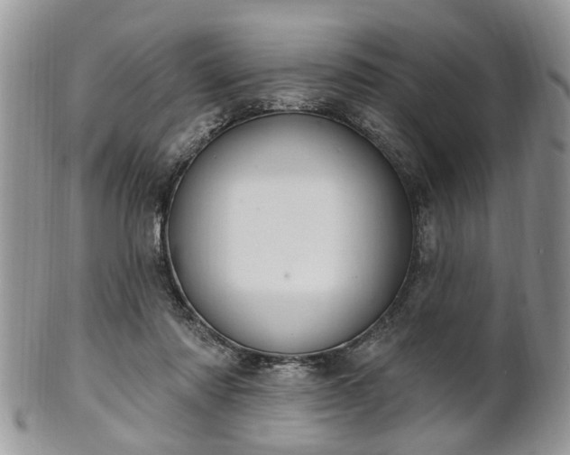 X0000101970310200807251217