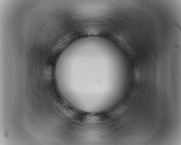 X0000101970311200807251217