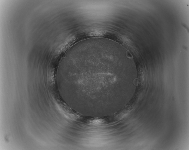 X0000101970312200807251217