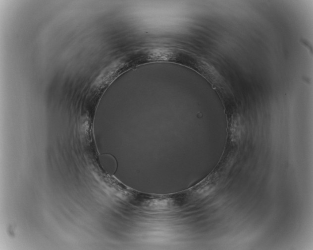 X0000101970314200807251217