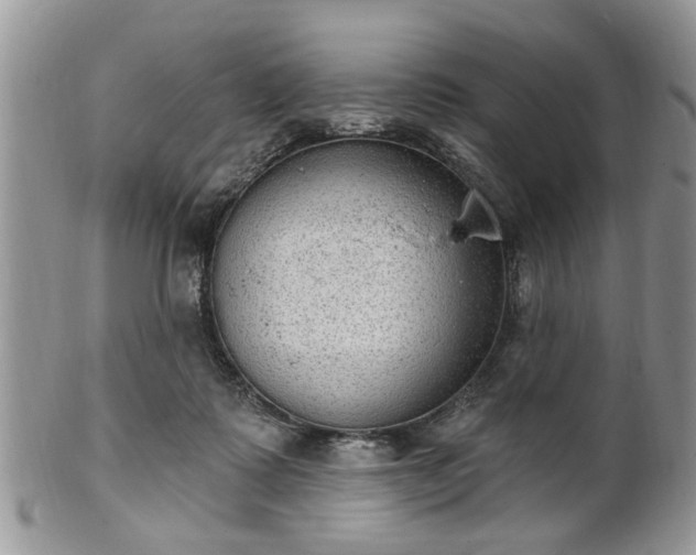 X0000101970315200807251217