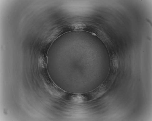 X0000101970316200807251217