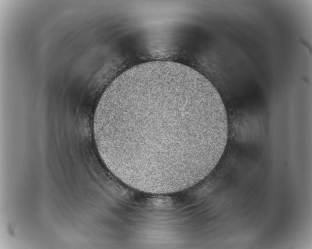 X0000101970317200807251217