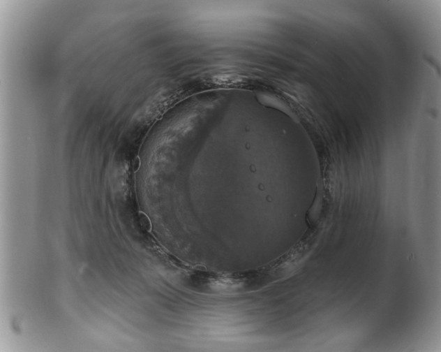 X0000101970319200807251217
