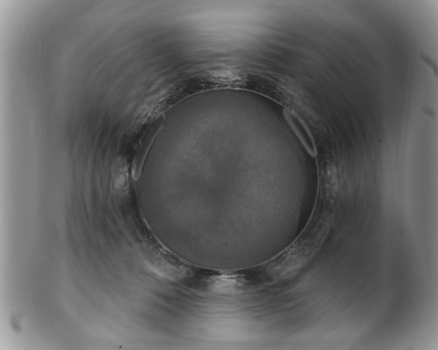 X0000101970320200807251217