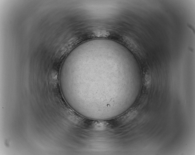 X0000101970321200807251217