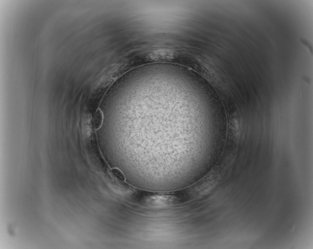 X0000101970323200807251217