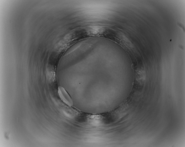X0000101970324200807251217