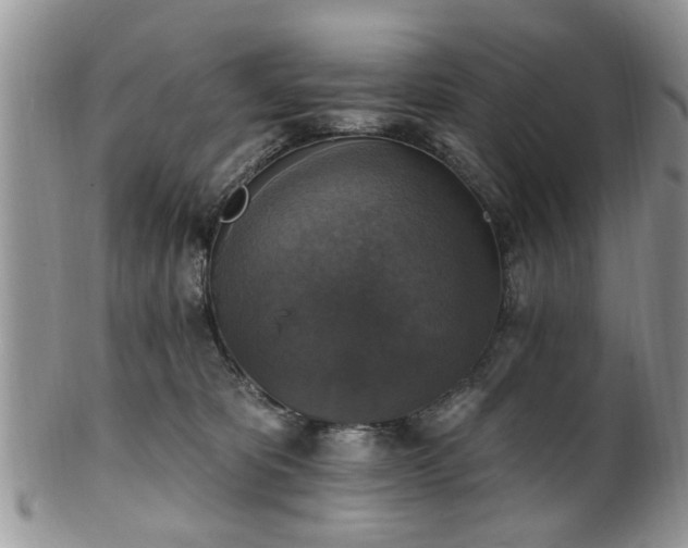 X0000101970325200807251217