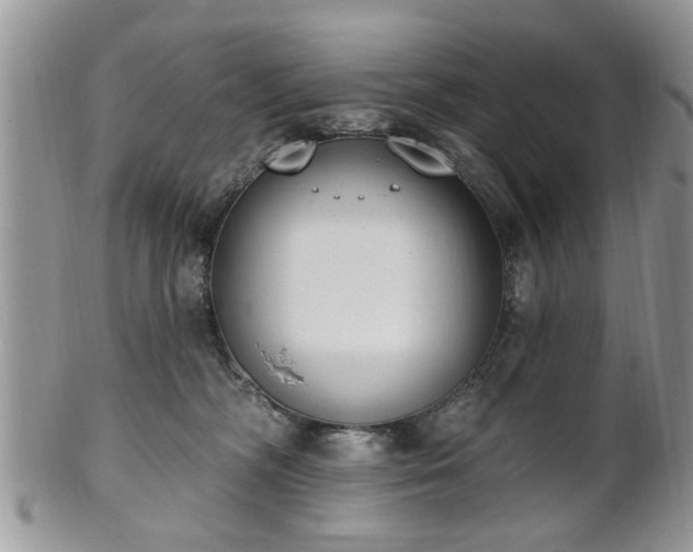 X0000101970326200807251217