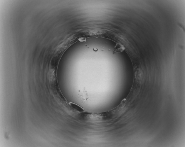 X0000101970327200807251216