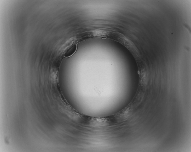 X0000101970329200807251216