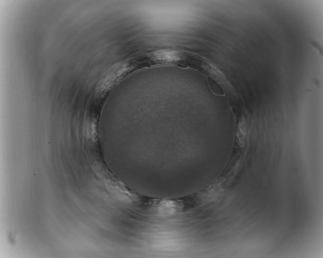 X0000101970330200807251216