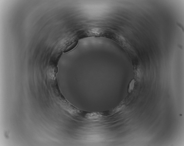 X0000101970331200807251216