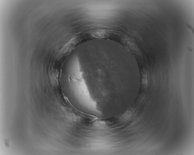 X0000101970332200807251216